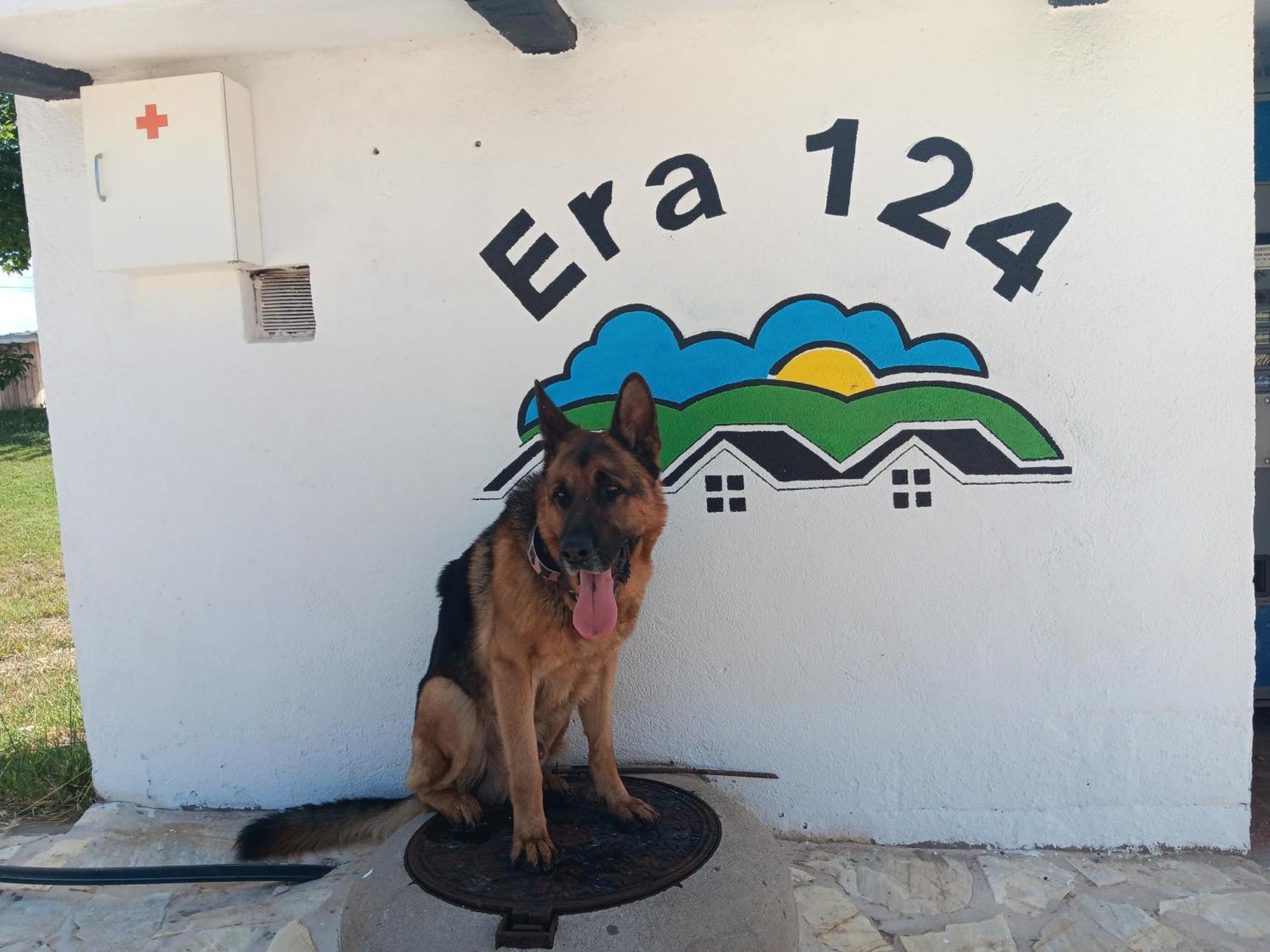 Ferienwohnung Era 124 Zafra de Záncara Exterior foto