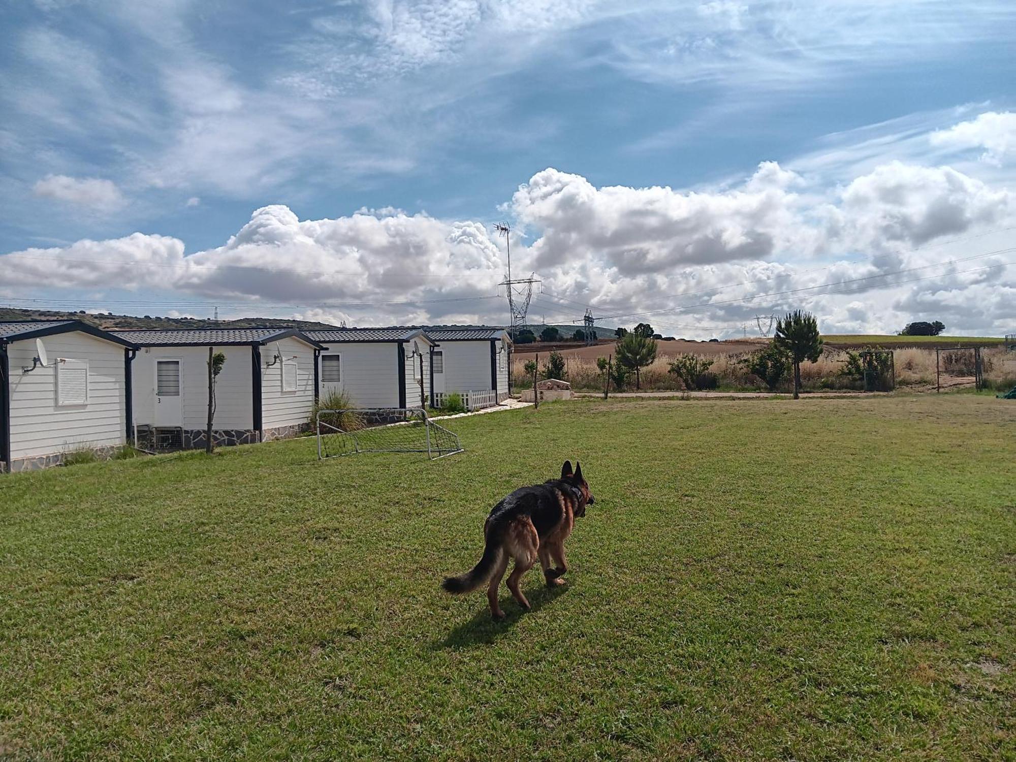 Ferienwohnung Era 124 Zafra de Záncara Exterior foto
